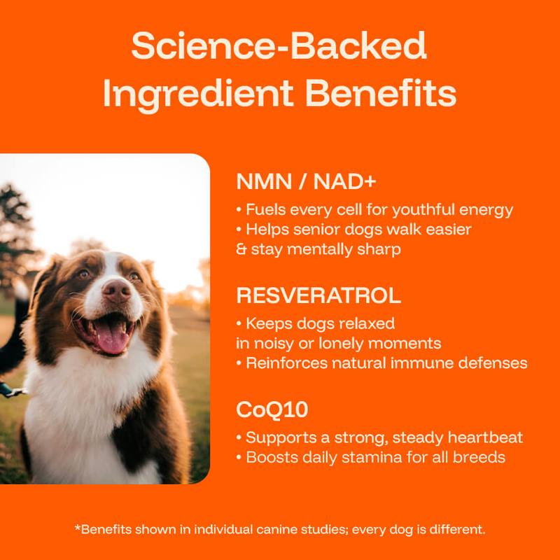 Euophora™ Pawprint Lab Supplement