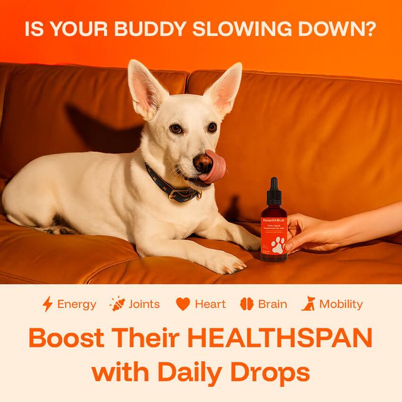 Euophora™ Pawprint Lab Supplement