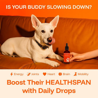 Euophora™ Pawprint Lab Supplement