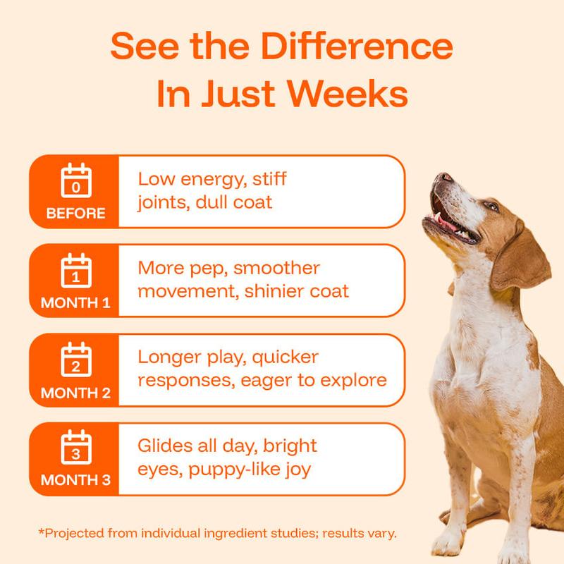 Euophora™ Pawprint Lab Supplement