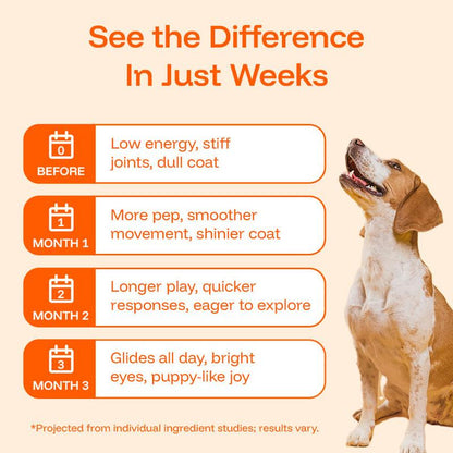 Euophora™ Pawprint Lab Supplement